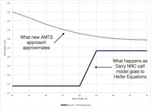 amts-calf-protein