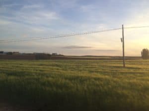 fields-spring