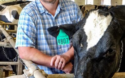 Dr Adam Lock: Supplemental Fatty Acids in Lactating Cow Diets: Myth and Reality