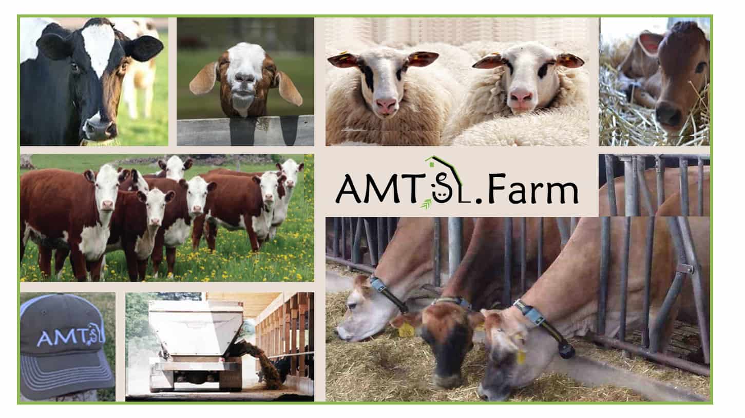 AMTS.Farm v 4.16 release New Features