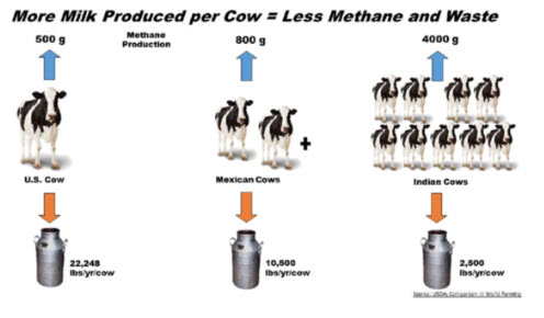 The relationship of production to the generation of methane and waste