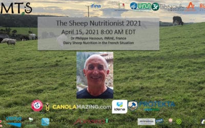 The 2021 Sheep Nutritionist April Hassoun