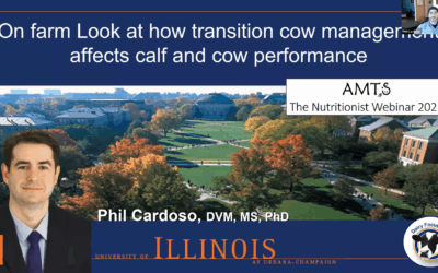 The Nutritionist 2021 Mar Cardoso