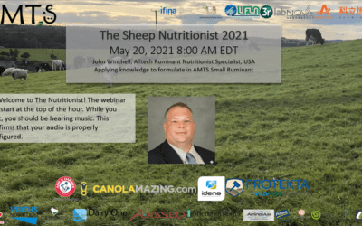 The 2021 Sheep Nutritionist Winchell