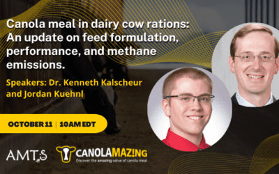 Canolamazing and AMTS Webinar 2022