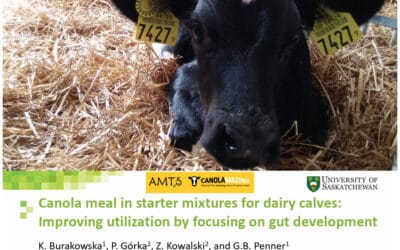 Canolamazing Webinar 2023